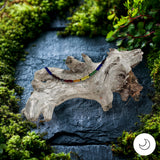 Pride rainbow bracelet on driftwood stand against stone surface surrounded by greenery